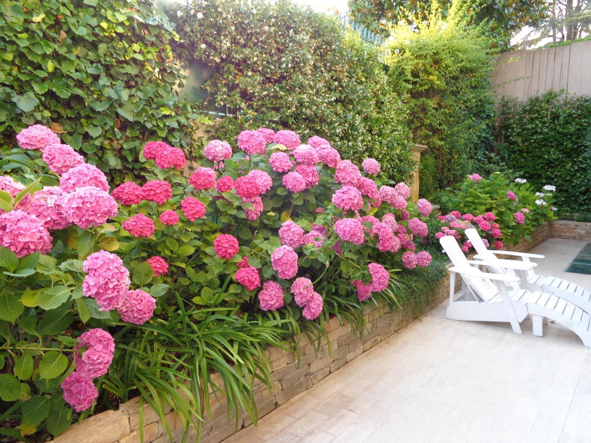 B&B Villa Feline Cannes Exterior foto
